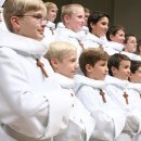 파리나무십자가 소년합창단 내한공연 이미지