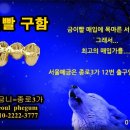 신용치과기공소 이미지