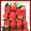 창평농장 이미지