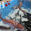 천금호 이미지