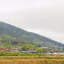 운기네 민박 이미지