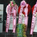 에브리데이크리스마스 네이버블로그