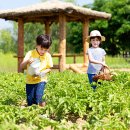 용산2농장 이미지