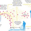 논문) JAMA) 1919) 밀턴 J. 로제노 - 인플루엔자(독감) 확산 방식 결정을 위한 실험 이미지