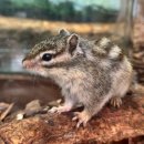 단양군평생학습센터 1층 | 충북단양, 1주년 당일치기여행 다누리아쿠아리움