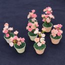 모모공방🌸 서울관광재단 출강수업 (체리블라썸 모루)