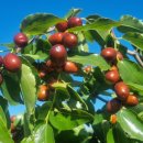 농업회사법인신성(주) 이미지