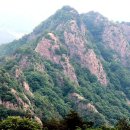 이석구농장 이미지