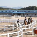 악양 승마장 이미지