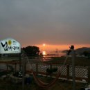 님 바래기 이미지