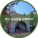 백합어린이집 | 대구 성모당을 산책하다