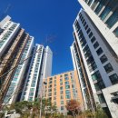 동백자이공인중개사사무소 이미지