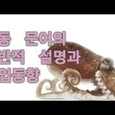 필리핀산 냉동 삶은문어 세균수 검사 안내 이미지