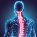 서울일등재활의학과의원 이미지