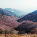 가을여행 이미지