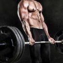 어베인휘트니스 이미지