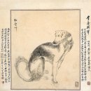 궁극의 체형을 지닌 야성미의 화신'세장이' 이미지