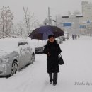 숲속샘터의원 이미지