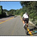 광혜원주유소 | 2016 코리아 랜도너스 퍼머넌트 27 1005 - OBD # R12