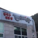 배가왕