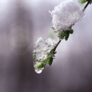 한선한의원 이미지