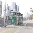 포레시안