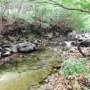 춘천마당발펜션 이미지