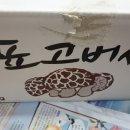 오촌농장 이미지