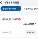 [용인시 임신지원금 지역화폐 30만원] 와이페이 정부24 신청방법, 대상, 모바일 신청후기