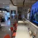 멜팅치즈버거 성서점 | 대전 롯백 미국 치즈 범벅 수제 버거 맛집 멜팅소울 후기