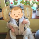 내돈내산 베베스완 아기띠 50일 동안 사용해본 솔직후기