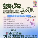 2024 화순 고인돌 가을꽃 축제 이미지