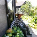 승래농장 이미지