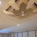 미미참치 | [용봉동] 미미참치 참치맛집 후기