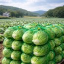 무안상회 | 무안군 건설인력 농촌인력 현경인력