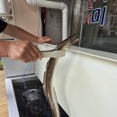 사계절장어 | 강남 역삼 맛집 하모 샤브샤브 장어 완벽조화 맛기행사계절