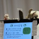 [강릉 라미상점]강릉에서 만난 작은 보물창고, 라미상점 내돈내산 방문 솔직 후기 | 강릉 마그넷