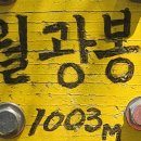 청도자연휴양림 티스토리