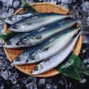 (주)세인트메디칼 이미지