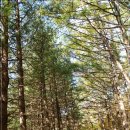 강림면307 | 치악산 향로봉, 부곡지구 단풍산행(13.10.26)