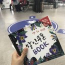 산들애풀하우스 | 모녀여행 1일차 :: 새우리 딱새우김밥 - 함덕서우봉 델문도 - 산들애풀하우스 / 유채꽃 만발 제주 봄♥