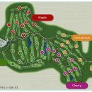 솔모로골프장 이미지