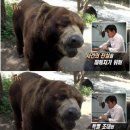김명석농장 TV리포트