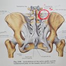 현재한의원 | 남성역 한의원- PDRN 약침 1년 치료후기 2편 <연어DNA추출>