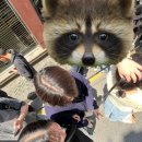 설빙(둔산점) | 대전에서 살고시퍼요 ⸜( ᵒ̴̶̷͈ᗜᵒ̴̶̷͈ )⸝