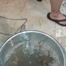 웅도동편민박 이미지