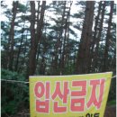 심방마을 이미지