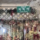 대한고속 | 2025년 고속터미널 크리스마스 트리 오너먼트, 플라우스 302 크리스마스트리 내돈내산 후기