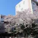 왕자맨션 이미지