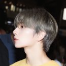 쿠키투어 이미지